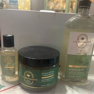 Aromatherapy Eucalyptus Spearmint Body Wash Set